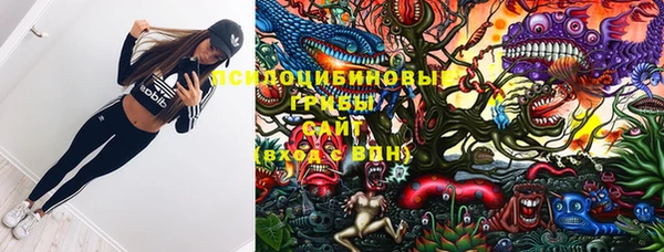 винт Протвино
