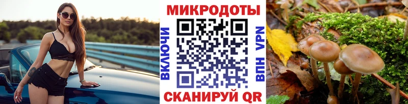 Галлюциногенные грибы мицелий Тверь