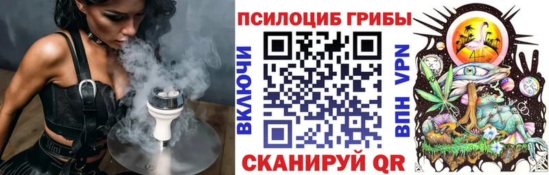 купить наркотики цена  Тверь  Псилоцибиновые грибы MAGIC MUSHROOMS 