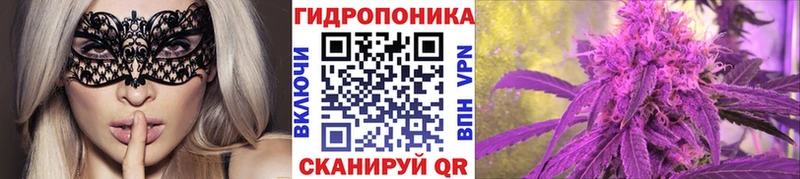наркотики  Тверь  Бошки марихуана сатива 